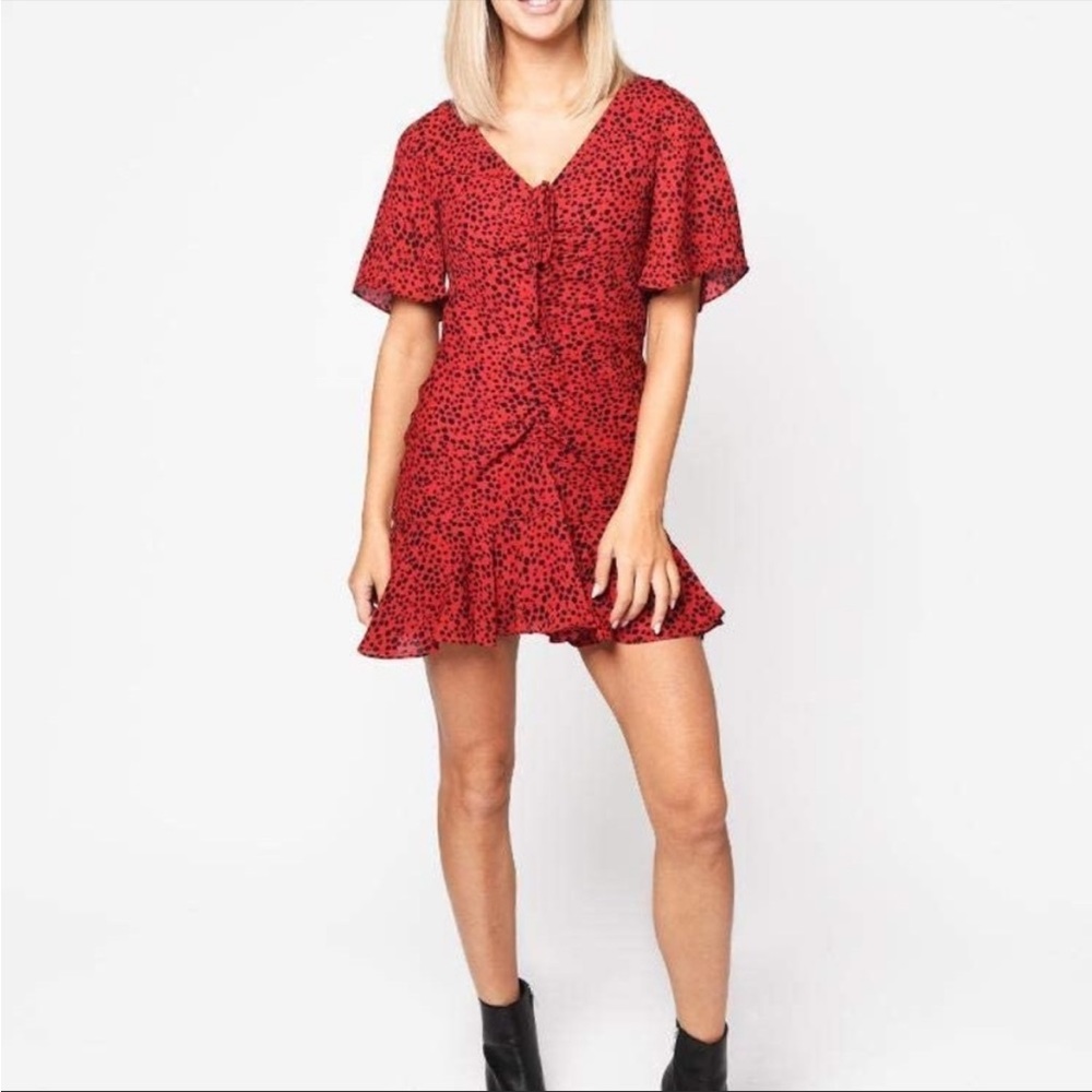 BB Dakota Wildcat Print Flutter Dress